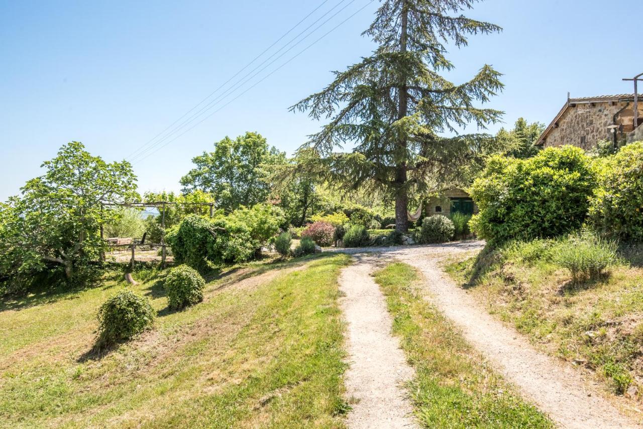 Appartamento Gemma Bianca-Tavoleto Castiglione dʼOrcia Exterior foto